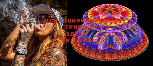 метадон Каменка