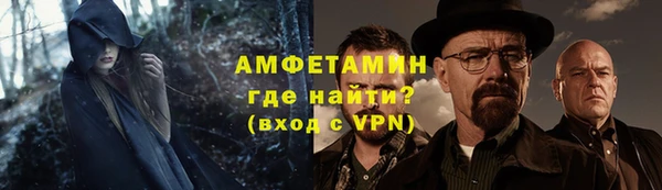 сатива Инта