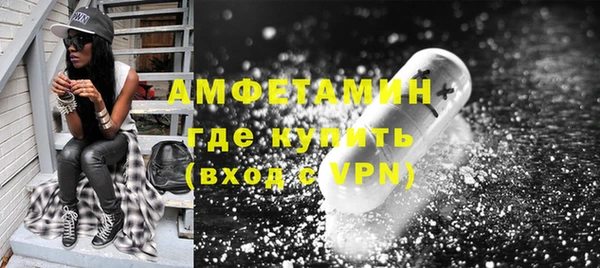 сатива Инта