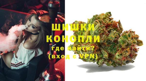 сатива Инта