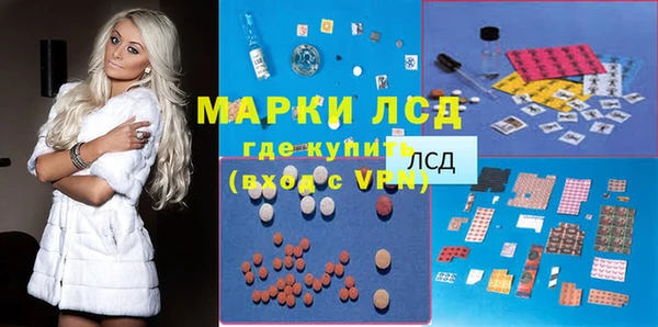 сатива Инта