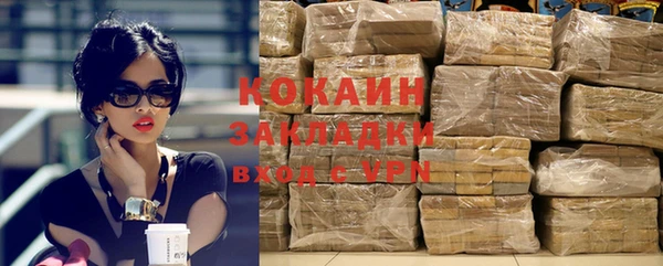 сатива Инта
