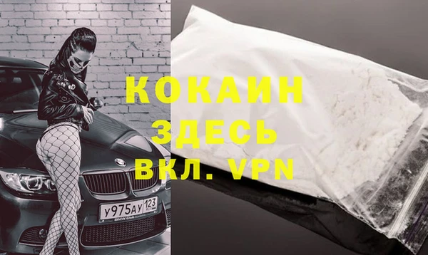 сатива Инта