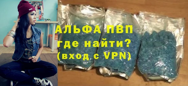 сатива Инта