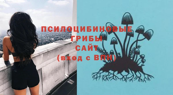 а пвп мука Иннополис