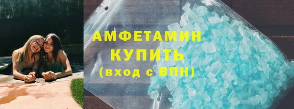 сатива Инта