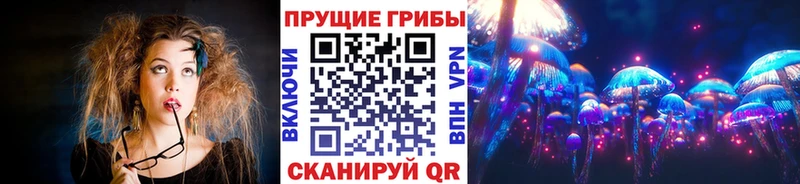 Купить  Белорецк  Галлюциногенные грибы Psilocybine cubensis 